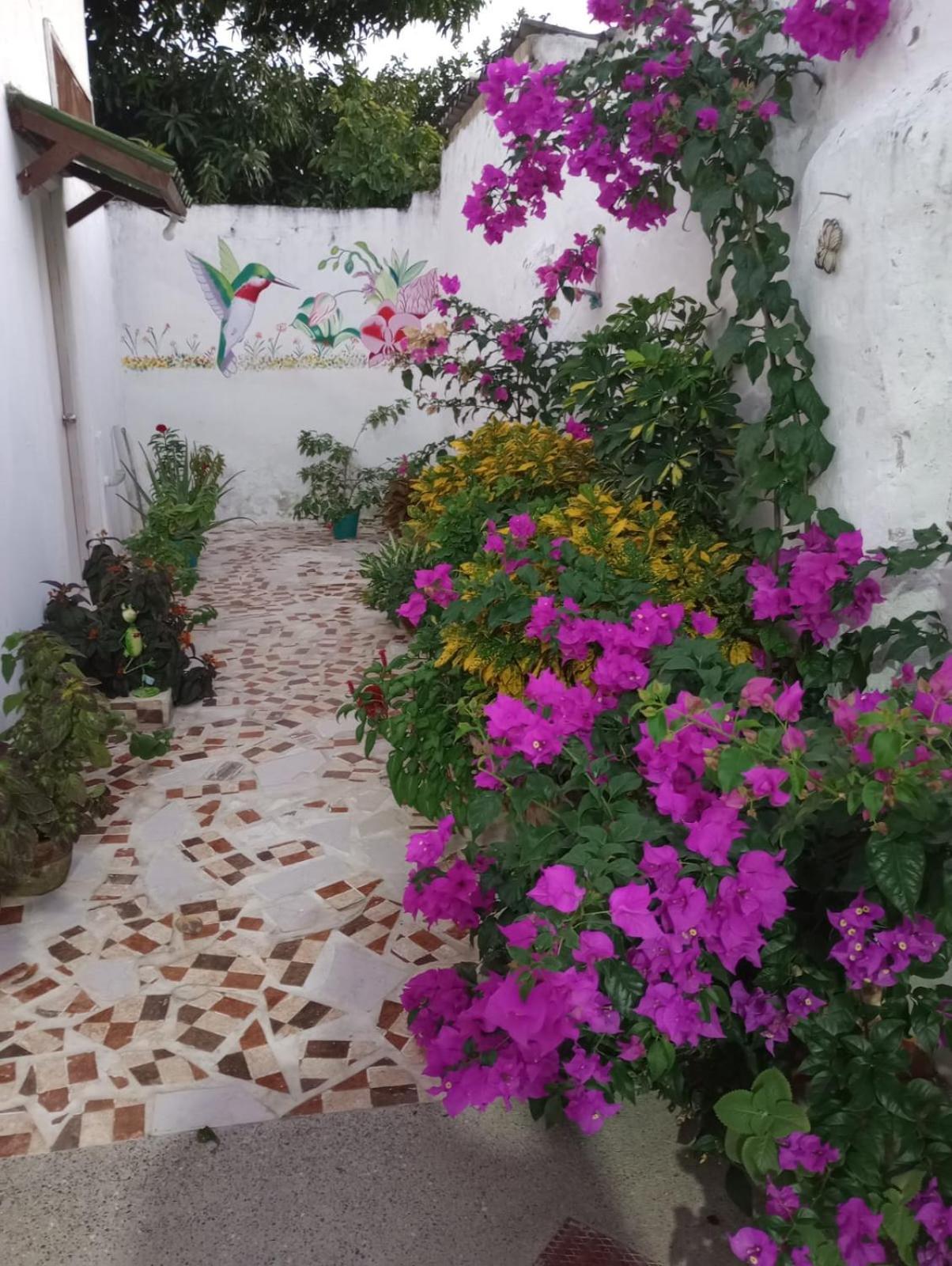 Hospedaje Casa Pachi En Cartagena De Indias Buitenkant foto